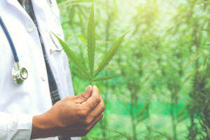 Checklist mostra como escolher clínica de cannabis medicinal com 5 perguntas