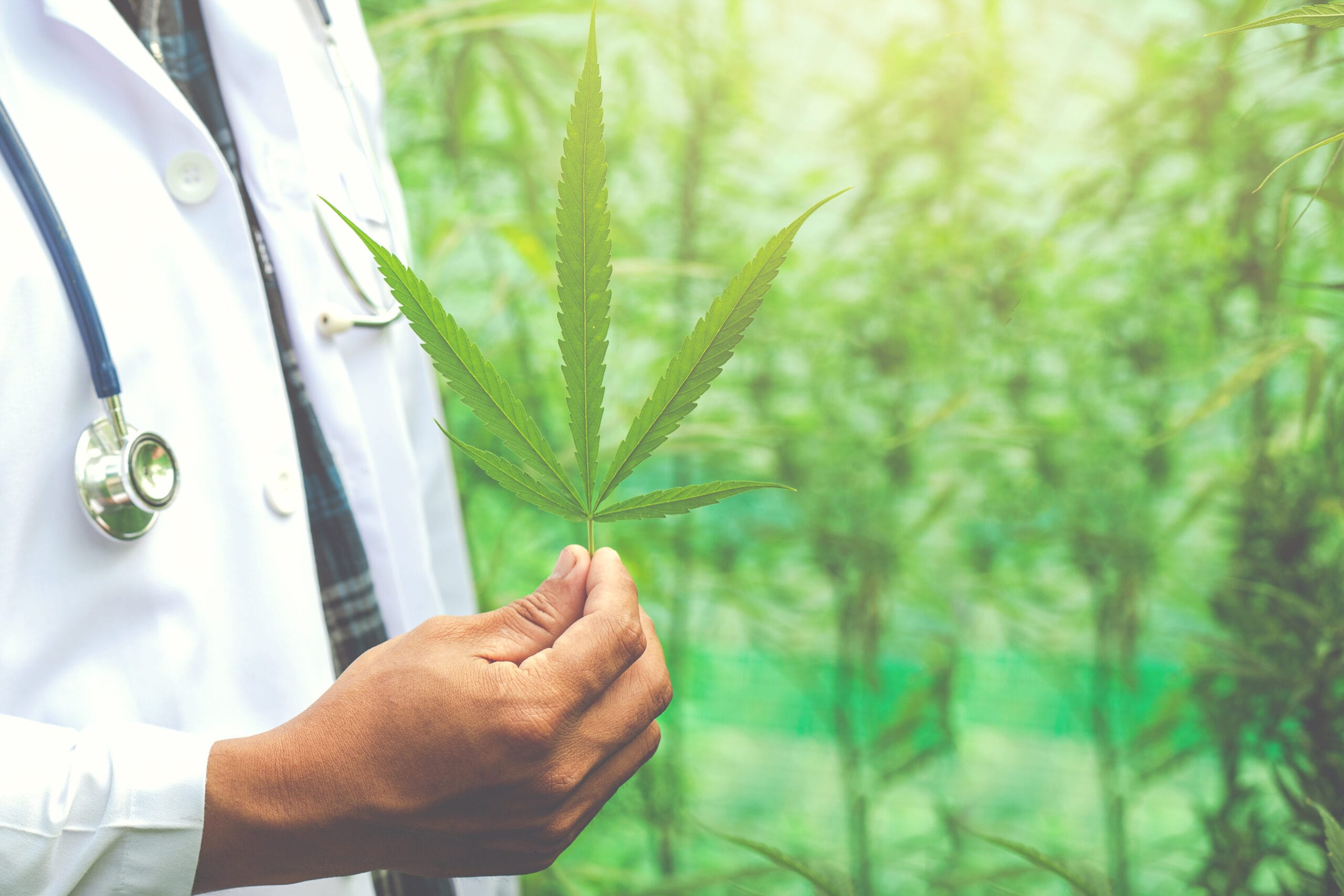 Checklist mostra como escolher clínica de cannabis medicinal com 5 perguntas